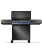 Barbecues et Planchas