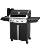 Gas or electric barbecues